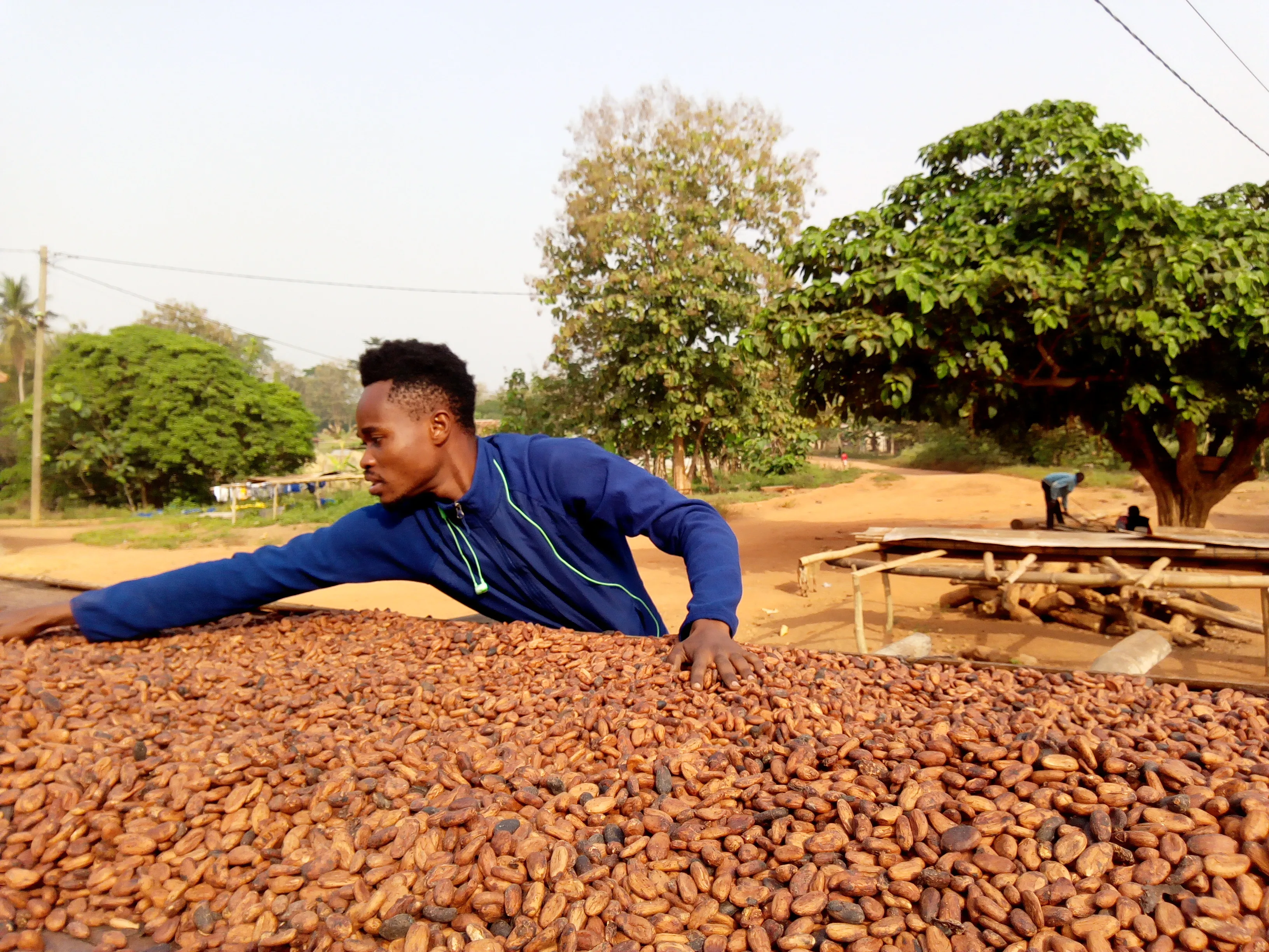 Agribusiness Trends to Watch in 2026 photograph