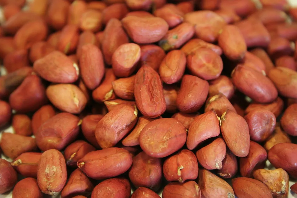 Groundnuts, Raw & Sun-Dried photograph