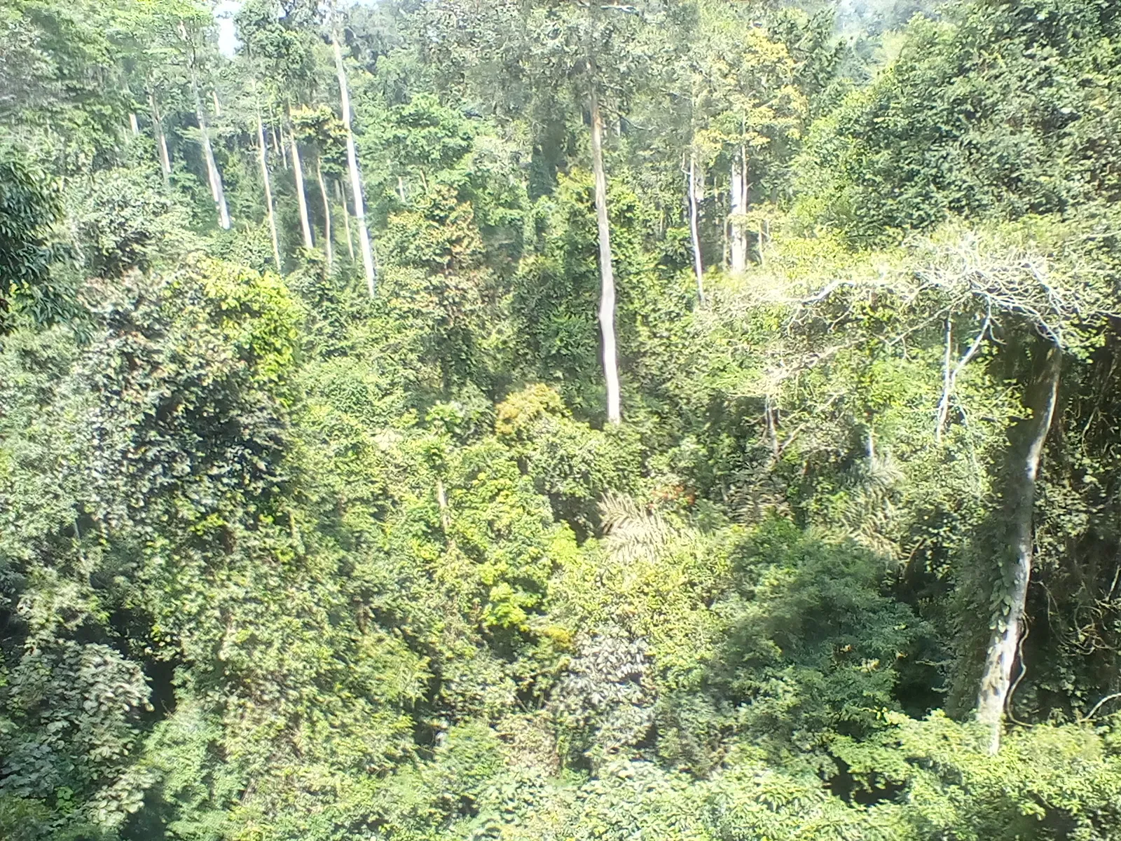 Sustainable Tourism cover photograph